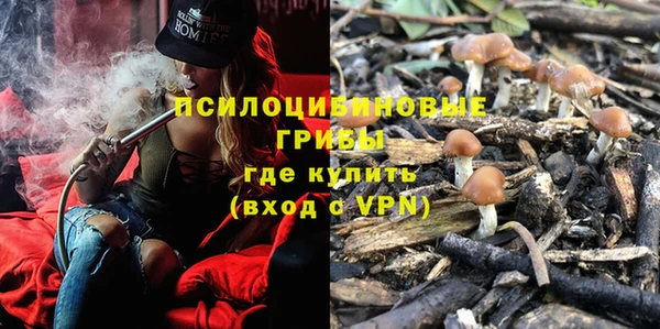 таблы Алексин