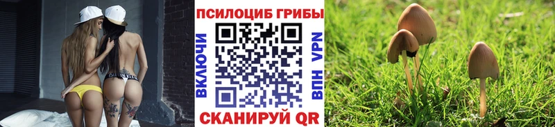 Галлюциногенные грибы Psilocybe  Слюдянка 